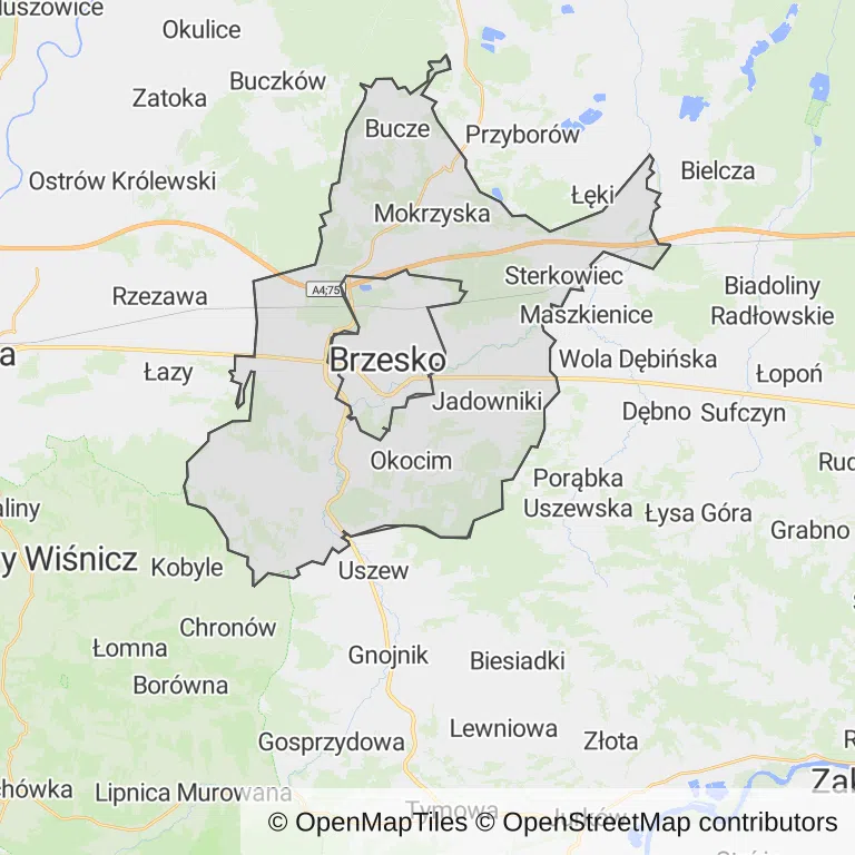 Mapa z zaznaczonym Brzeskiem