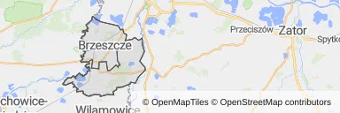 Mapa z zaznaczonym Brzeszczami