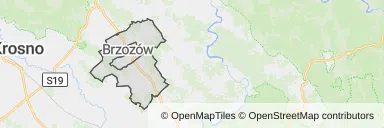 Mapa z zaznaczonym Brzozowem