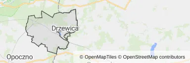 Mapa z zaznaczonym Drzewicy