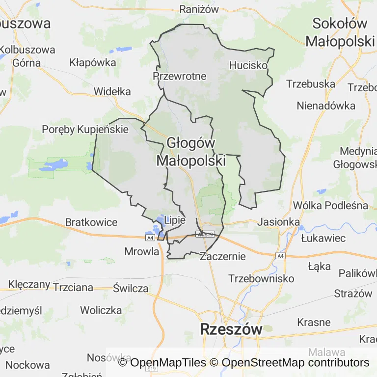 Mapa z zaznaczonym Głogowie Małopolskim