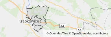 Mapa z zaznaczonym Gogolinem