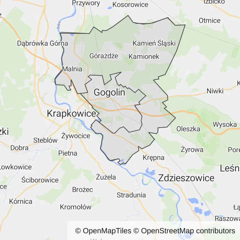 Mapa z zaznaczonym Gogolinem