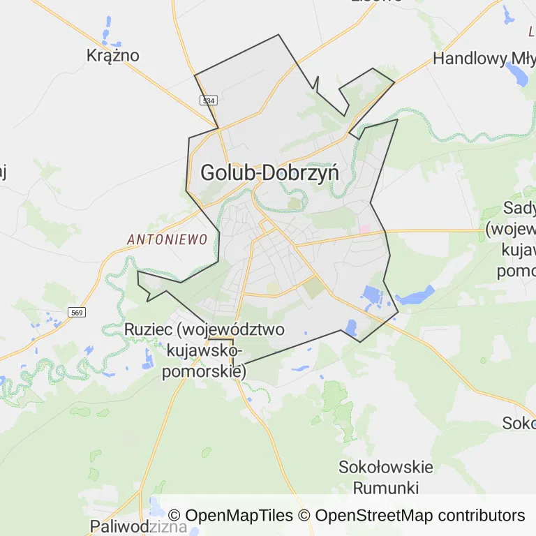 Mapa z zaznaczonym Golubiu-Dobrzyniu