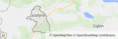 Mapa z zaznaczonym Gostyninem