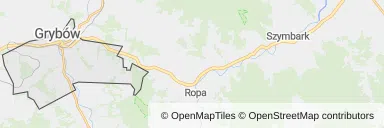 Mapa z zaznaczonym Grybowem