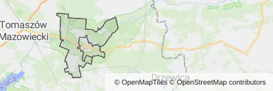 Mapa z zaznaczonym Inowłodzem