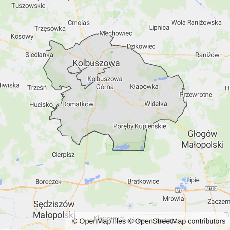Mapa z zaznaczoną Kolbuszowem