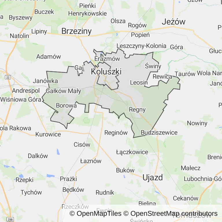 Mapa z zaznaczonym Koluszkami
