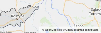 Mapa z zaznaczonymi Koszycami