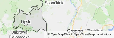 Mapa z zaznaczonym Lipskiem