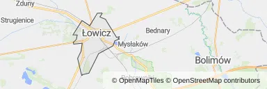 Mapa z zaznaczonym Łowiczem