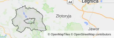 Mapa z zaznaczonym Lwówku Śląskim