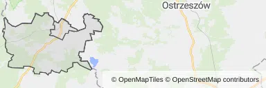 Mapa z zaznaczonym Międzyborzem