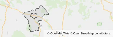 Mapa z zaznaczonym Pleszewem