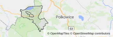 Mapa z zaznaczonym Przemkowem