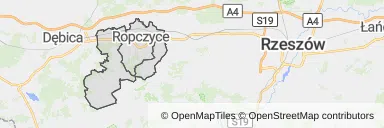 Mapa z zaznaczonymi Ropczycami