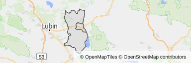 Mapa z zaznaczoną Ścinawem