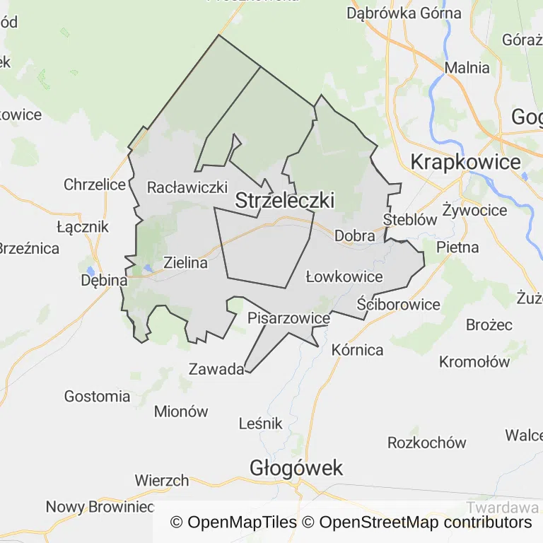 Mapa z zaznaczonym Strzeleczkami