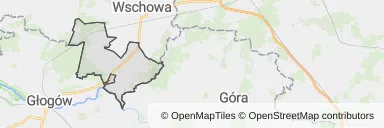 Mapa z zaznaczoną Szlichtyngowem