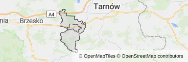 Mapa z zaznaczonym Wojniczem