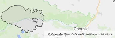 Mapa z zaznaczonym Wronkami