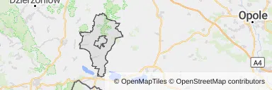 Mapa z zaznaczonymi Ziębicami